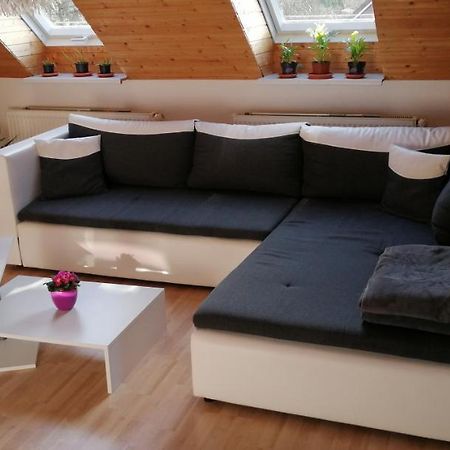 Wohnung Auerand Nienhagen エクステリア 写真